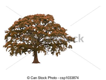 ... Abstract Oak Tree - Abstract illustration of an oak tree in.