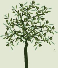 abstract olive tree