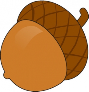 Acorn Clipart Affordable And 