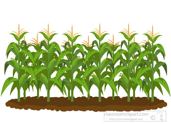corn-field-clipart.jpg - Agriculture Clipart