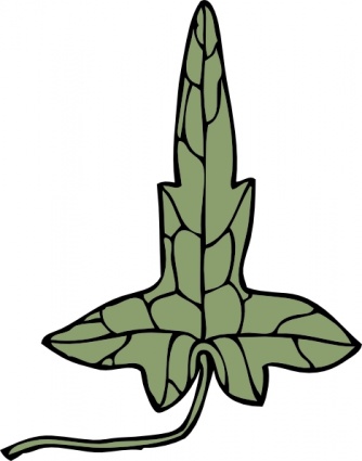 Aka Ivy Leaf Clipart Cliparthut Free Clipart