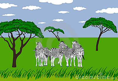 Alert Zebras Grassland Stock Illustrations u2013 10 Alert Zebras Grassland Stock Illustrations, Vectors u0026amp; Clipart - Dreamstime