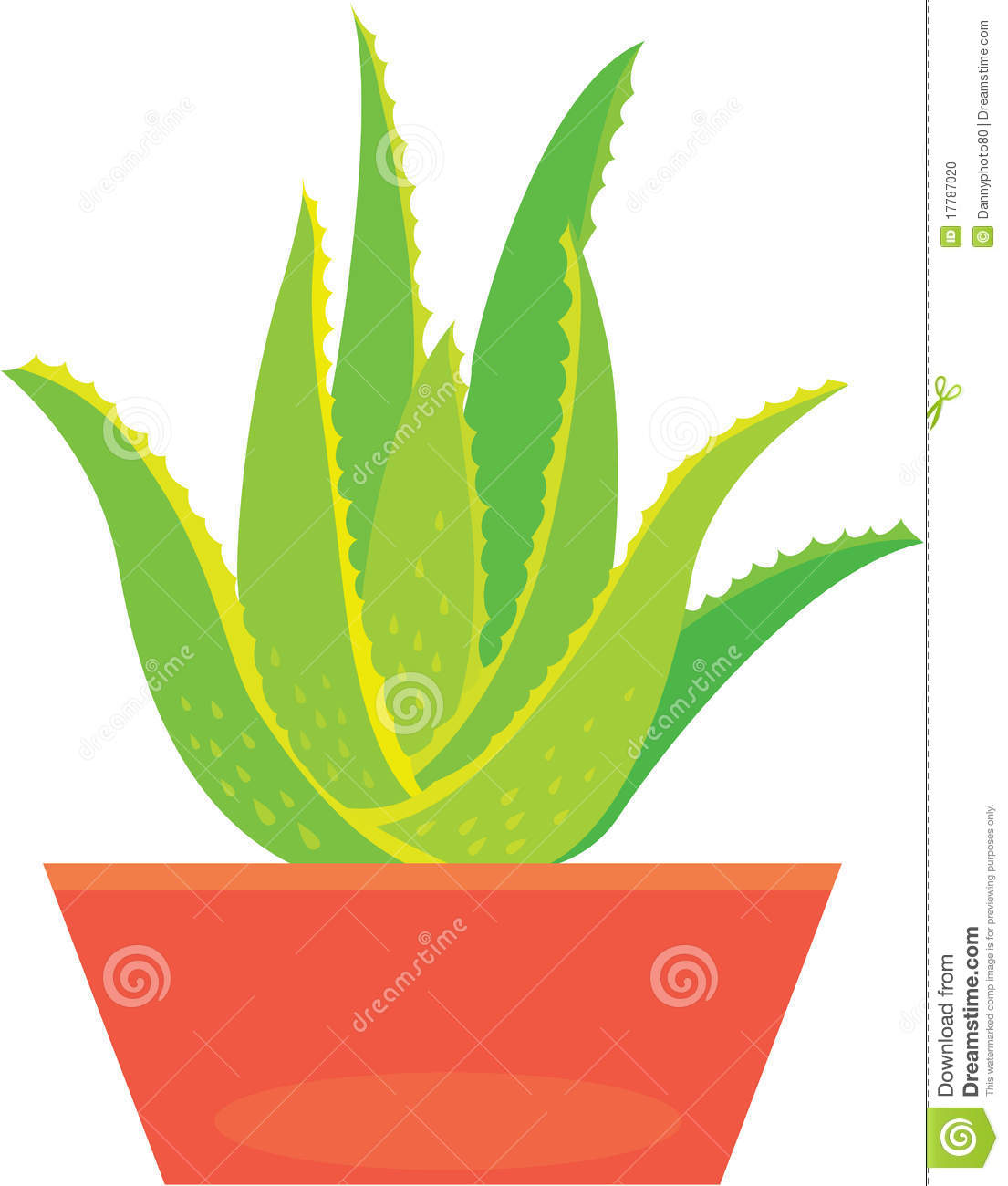Aloe vera in flower pot - csp