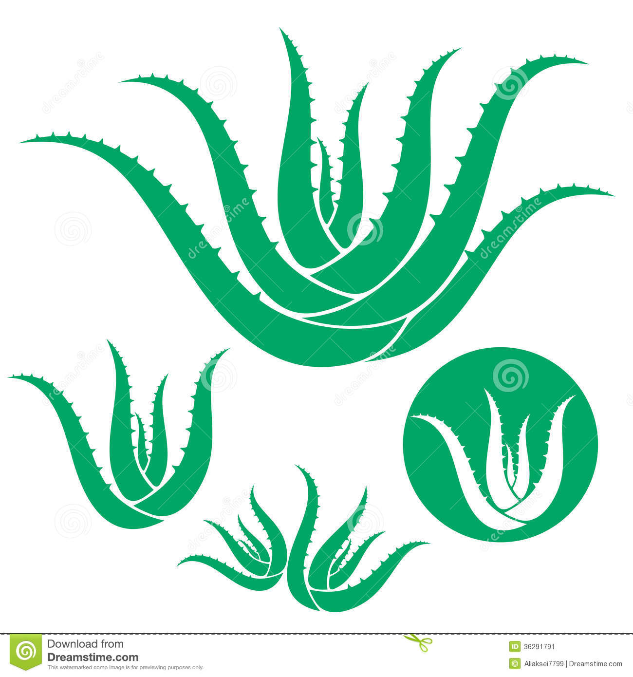 Aloe. Set. Isolated objects on white background. Vector illustration (EPS  10 Stock