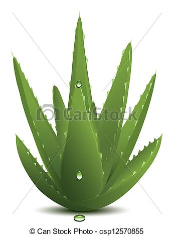 Aloe Vera Plant Pot Clip Art