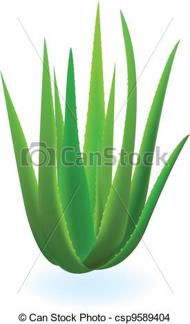 Aloe Vera Plant Pot Clip Art