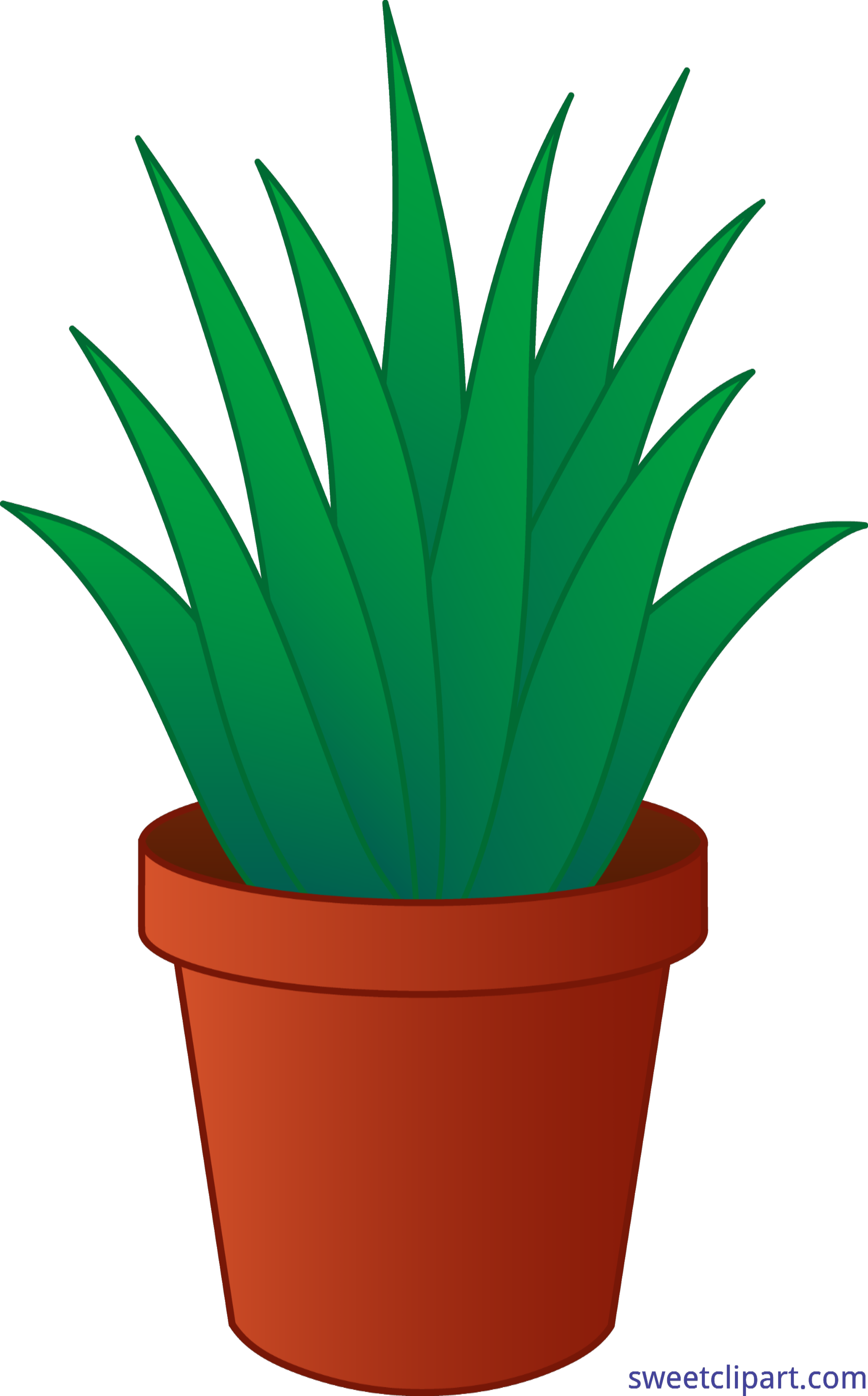 Aloe cartoon character vector