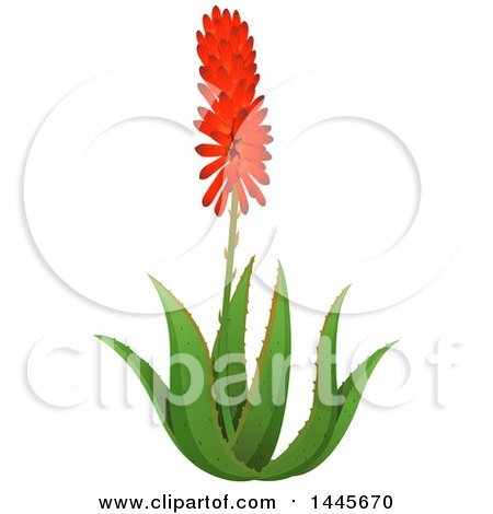 Preview Clipart - Aloe Clipart