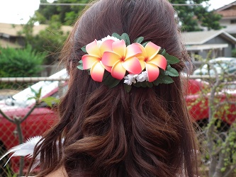 Aloha and Welcome to Hawaiiu0027s best of the best Hawaiian flower hair  accessories. Weu0027re proud to introduce our exclusive line of flower hair  clips, picks, ...