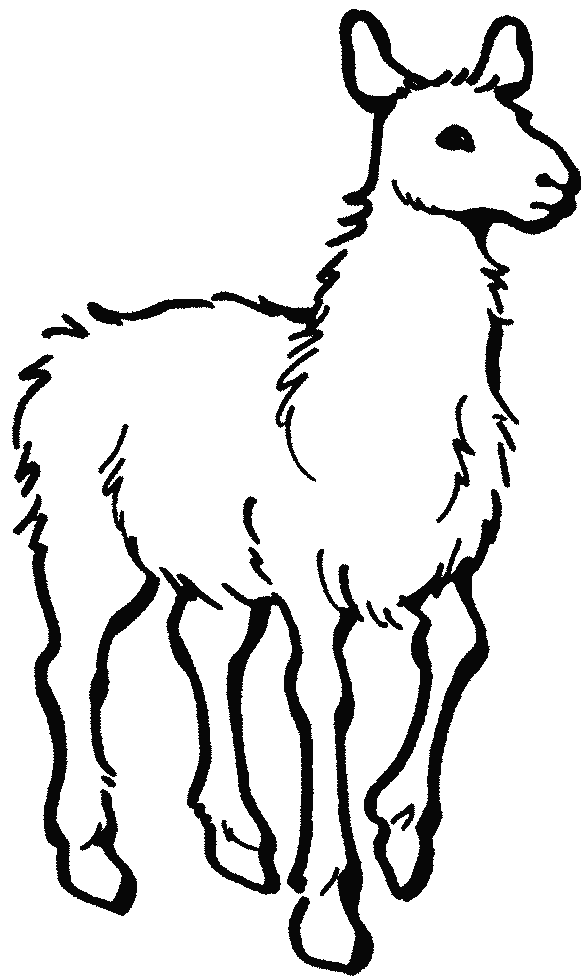 alpaca clipart 