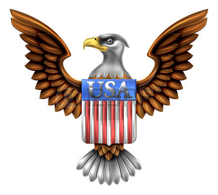 american eagle: American Eagle Design with bald eagle of the United States with American flag