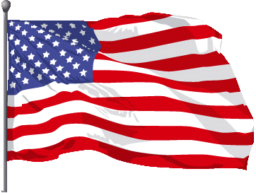 Us flag vertical american fla