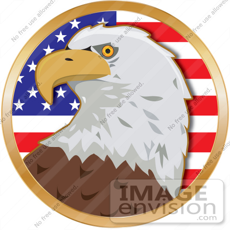 ... Patriotic American Eagle 