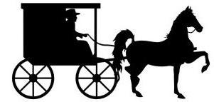 Amish Horse And Buggy
