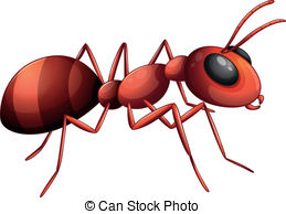 ... An ant - Illustration of an ant on a white background