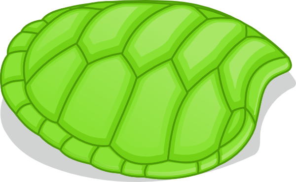 and White Turtle Shell. Download this image as: