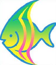 angelfish: Coral fish