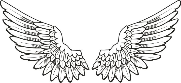 Wings Outline Vector Clip Art