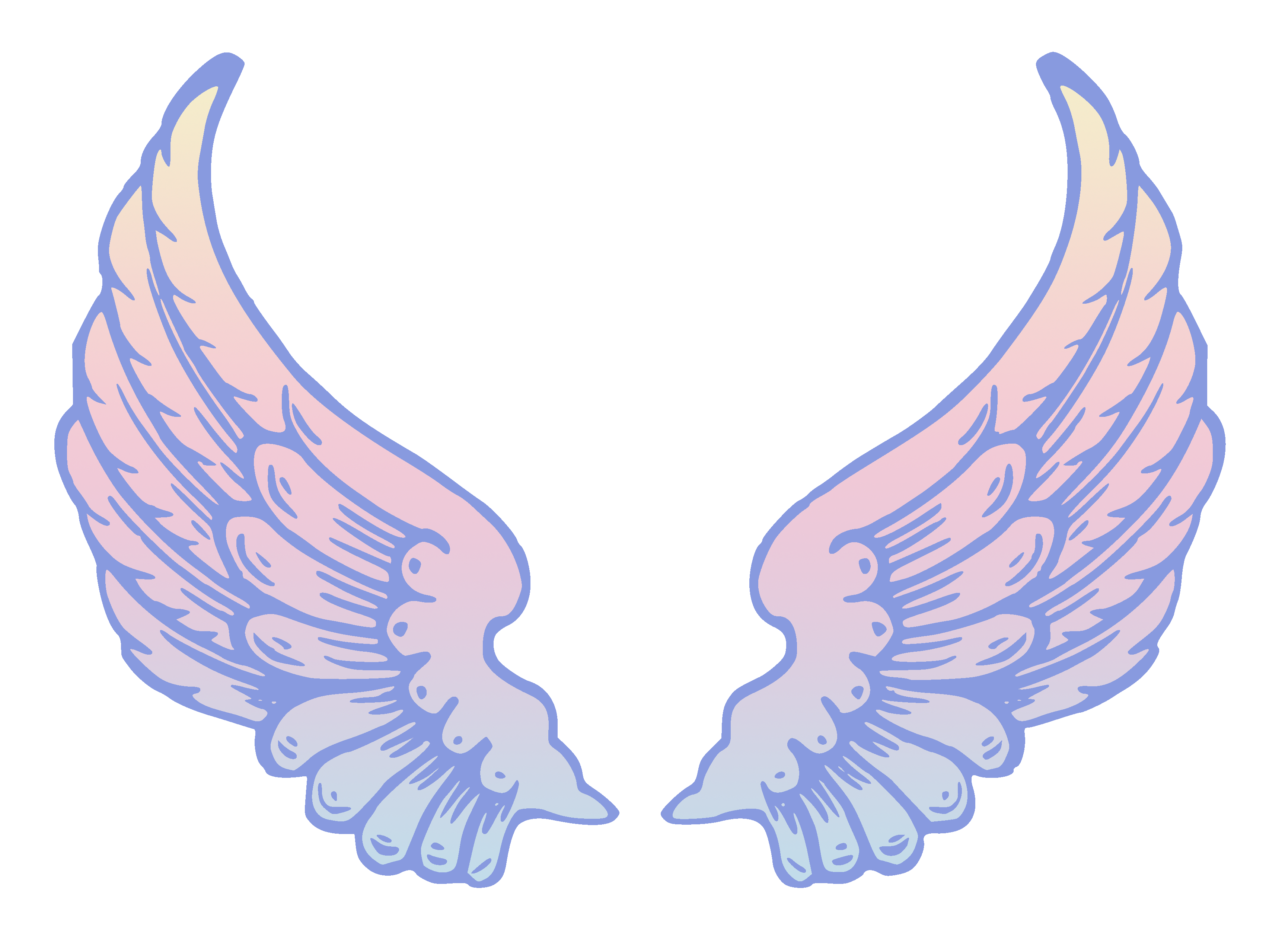 Angel wings clip art wing .