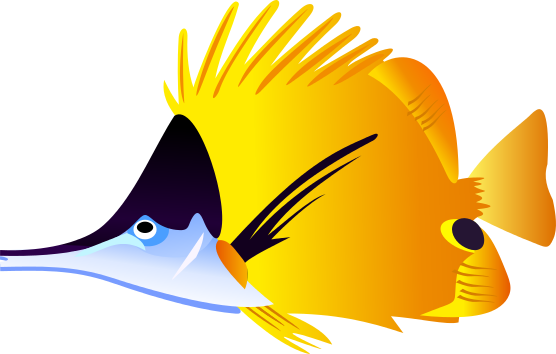 Vector image of an angel fish