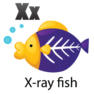 Animal Alphabet - X for X-Ray - X Ray Fish Clipart