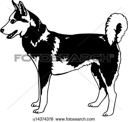 animal, breeds, canine, dog, show dog, siberian husky,. ValueClips Clip Art