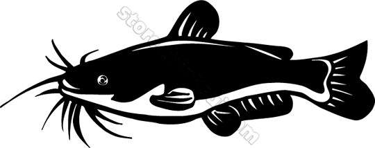 Animal Catfish Clipart u0026m - Catfish Clip Art