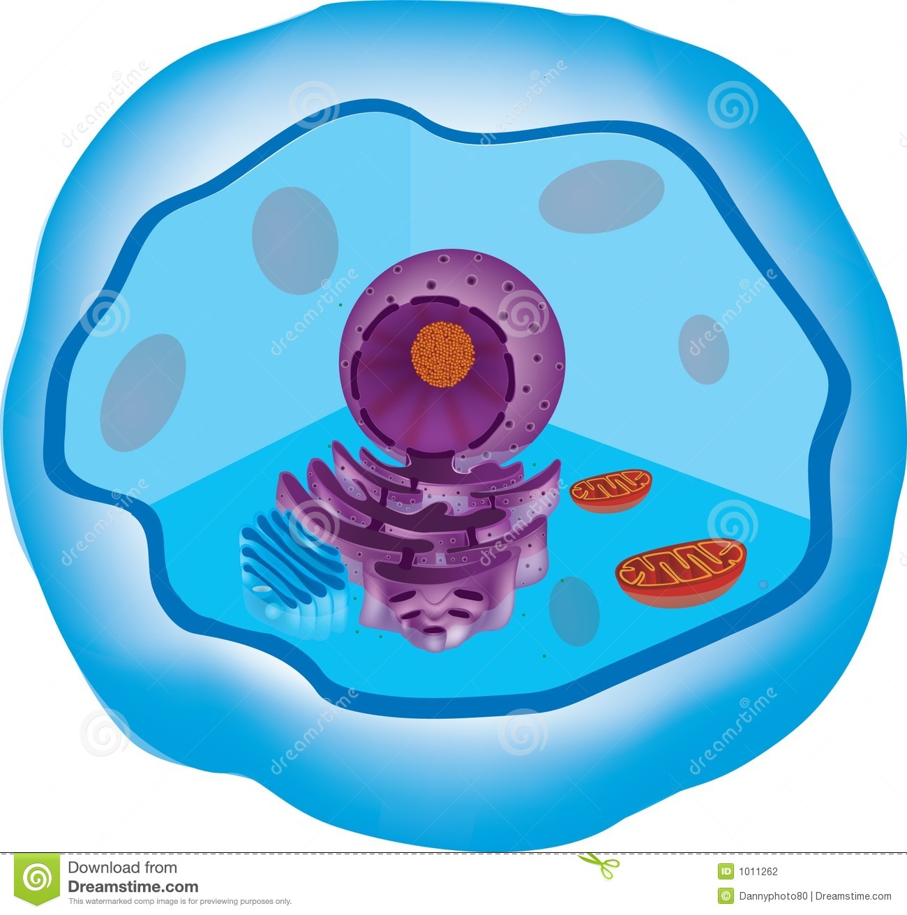 Animal Cell Clipart Cliparthut Free Clipart
