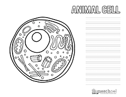 Animal Cell Notebooking Page