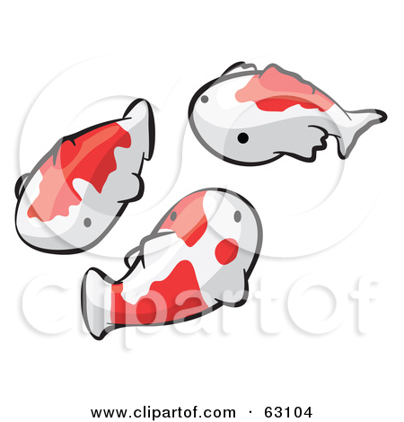 Two Orange Koi Fish Swimming 