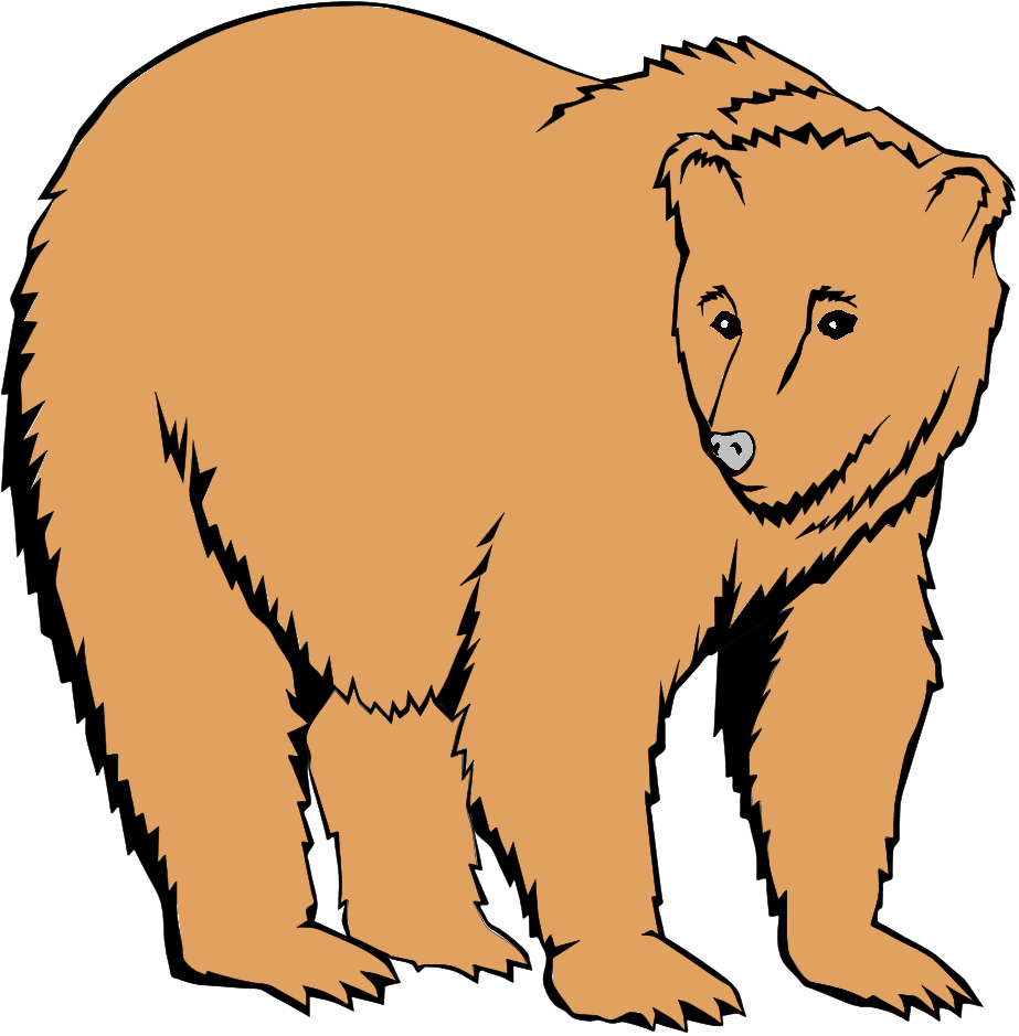 Grizzly bear silvertip bear c