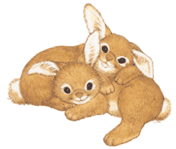 Animated rabbit clip art dana - Bunny Rabbit Clipart