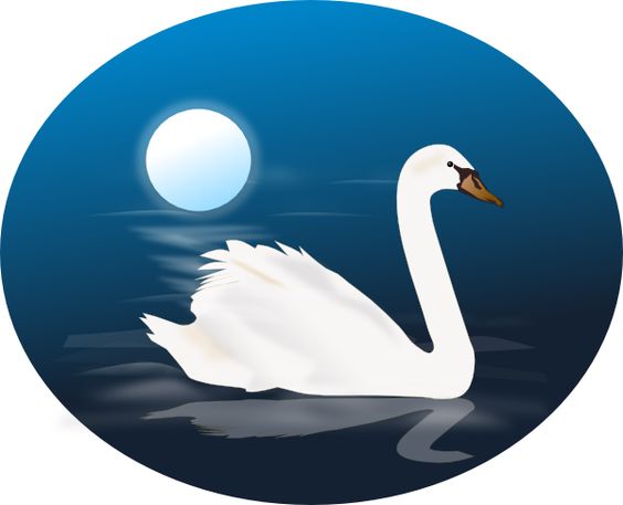animated swans | Swan 4 clip .