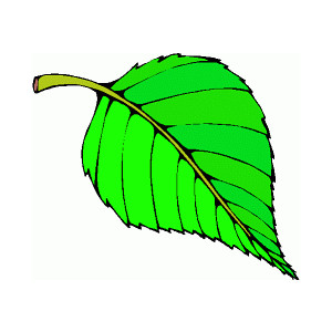 Animated Tree Leaves Clipart  - Green Leaf Clipart