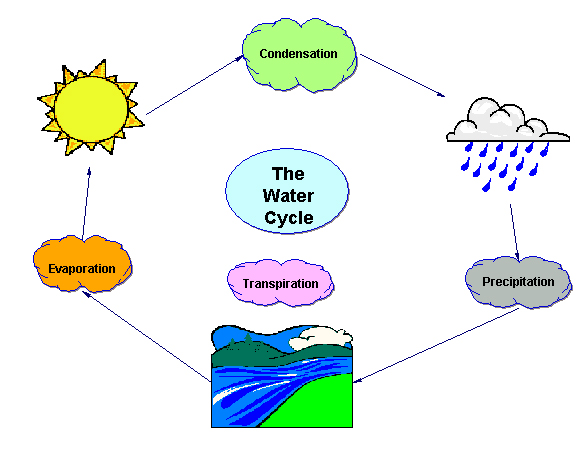 animated-water-cycle-clip- .