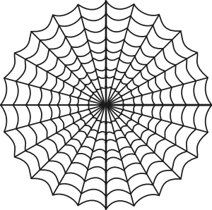 Spider Web Drawings