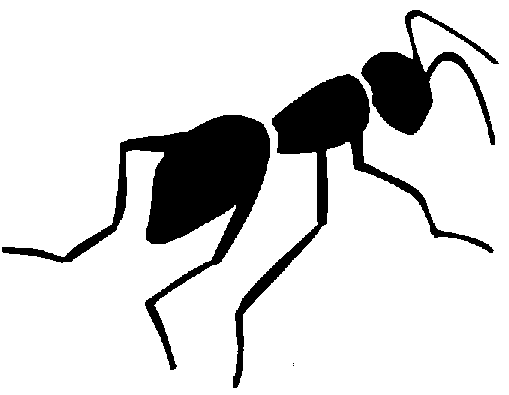 Black ants line Royalty Free 