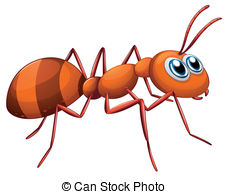 . hdclipartall.com An ant - Illustration of an ant on a white background
