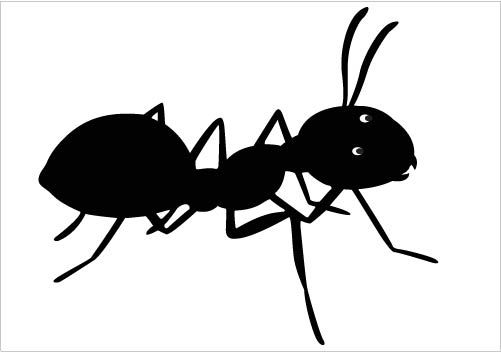 Cut and little single ant designed as a black and white ant silhouette  vector ideal for nature vector illustrations and insect graphics such as in  cartoons.