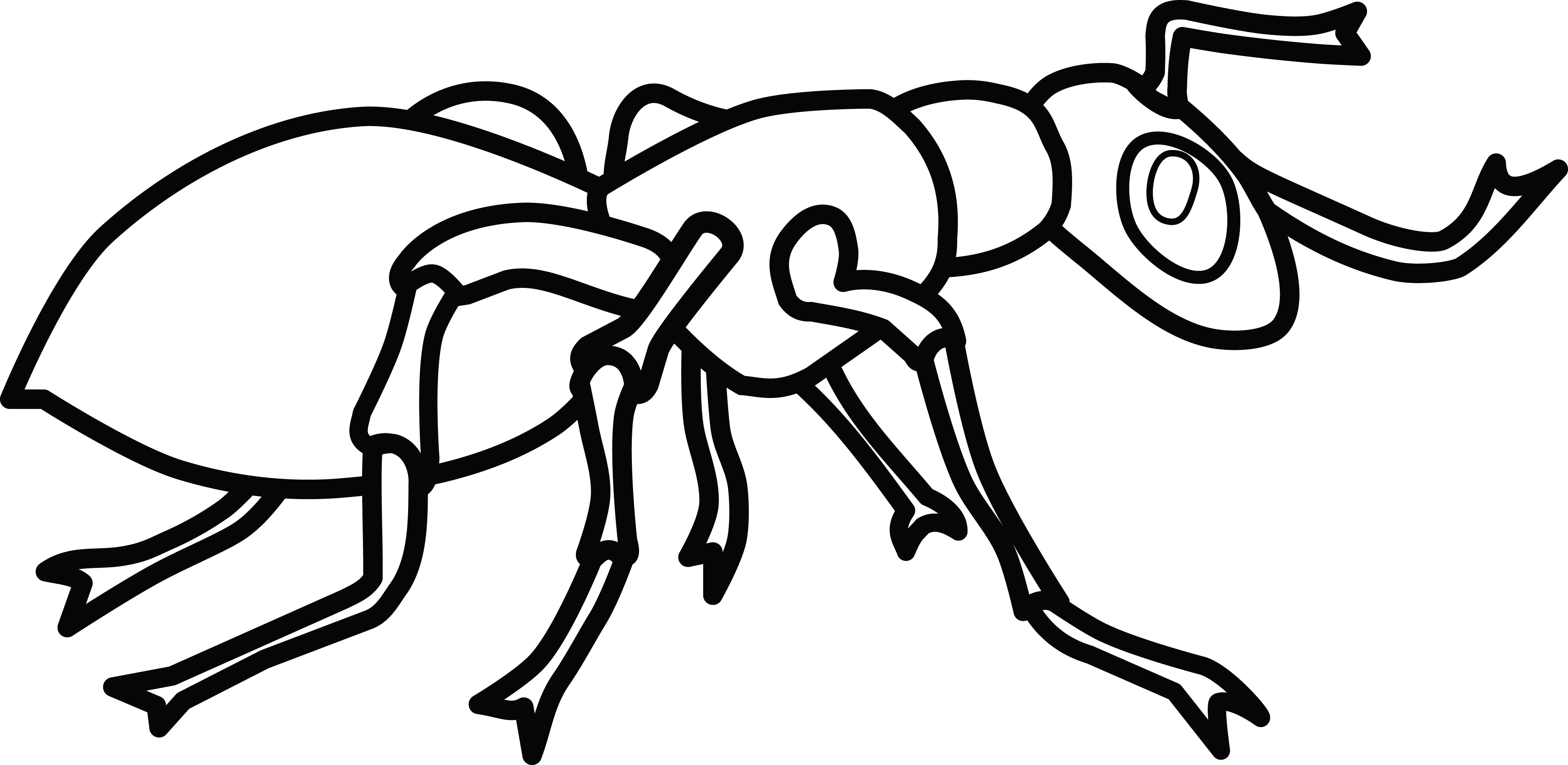 Free Clipart Of An ant