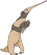 Anteater Standing Clipart Size: 57 Kb