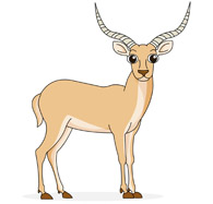 Antelope Clipart Size: 72 Kb