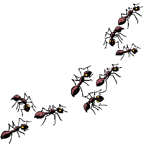 Ants Clipart - Ants Clip Art