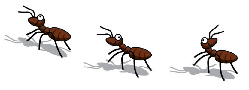 ... An ant - Illustration of 