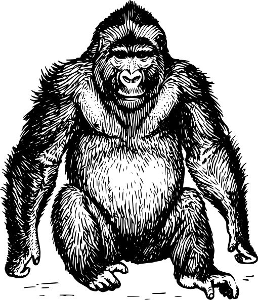 Ape clip art - Ape Clipart