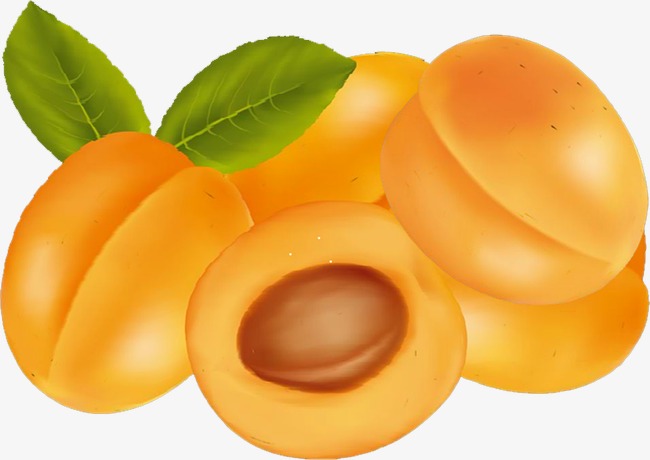 apricot, Fruit, Food PNG Image and Clipart