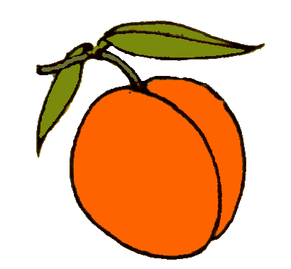 Apricot Transparent Clipart #