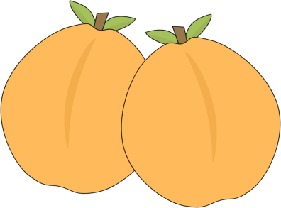 Pair of Apricots