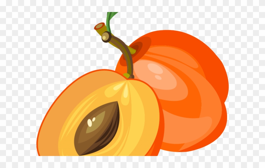 Peach Clipart Apricot - Png Download
