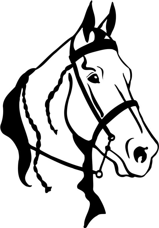 arabian horse head clipart - Horse Head Clipart